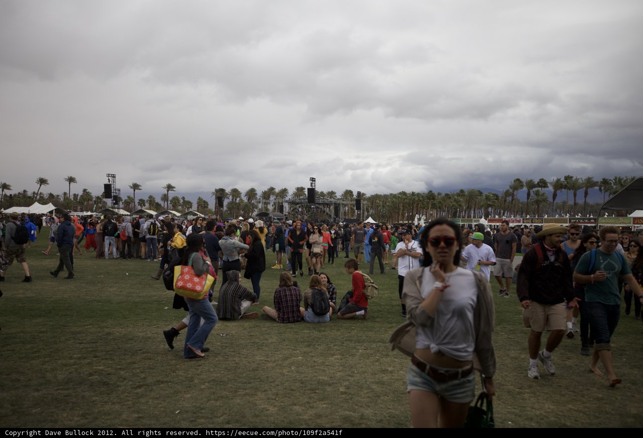 Festival-goers enjoying the grassy outdoors