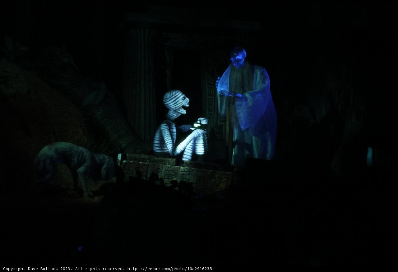 Nightmare Serenade