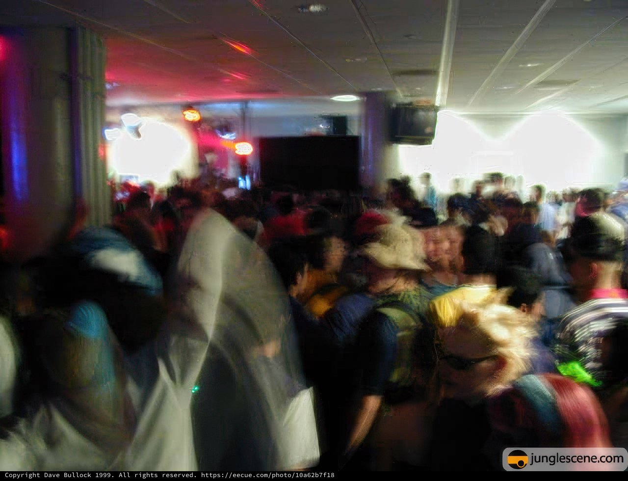 Nightclub Crowd