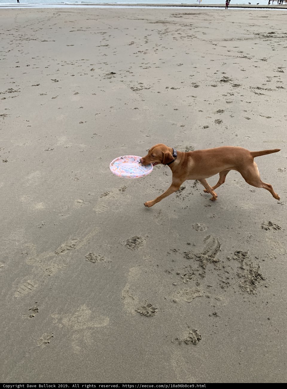 Sandy Fun