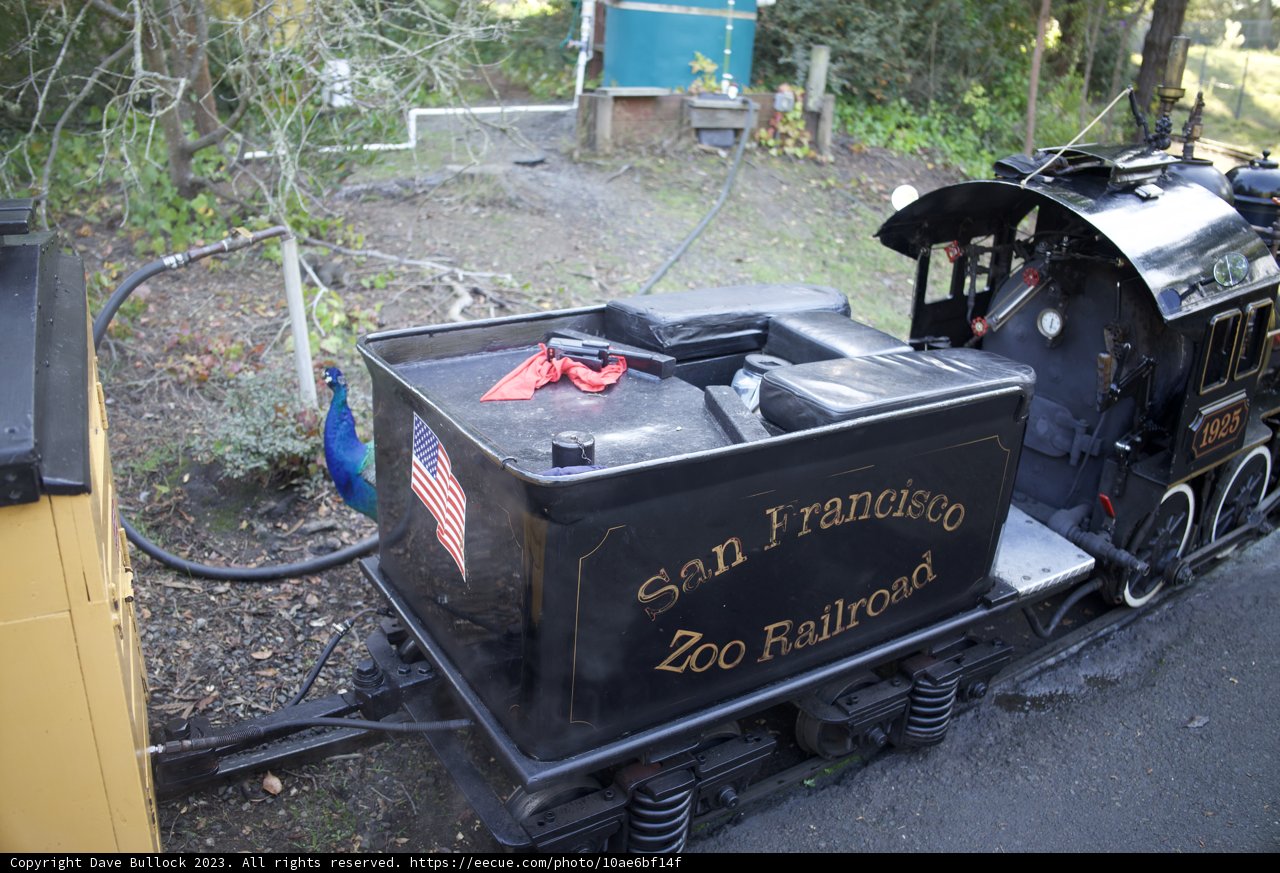 Charming Locomotive Ride at San Francisco Zoo