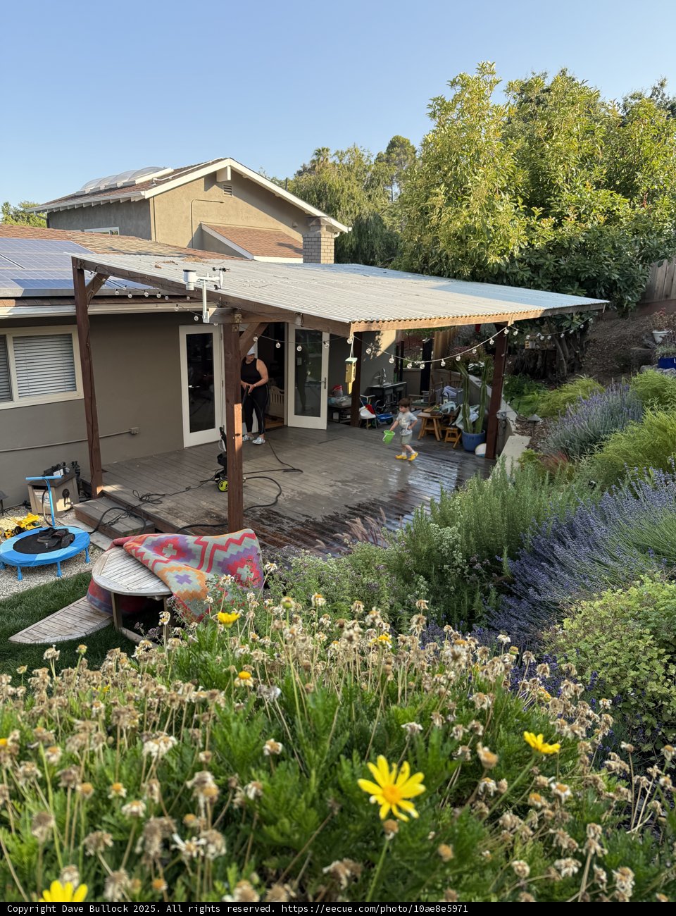 Serenity in the Backyard