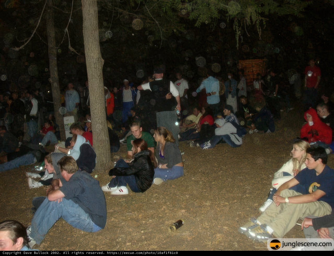 Nighttime Gathering in the Grove
