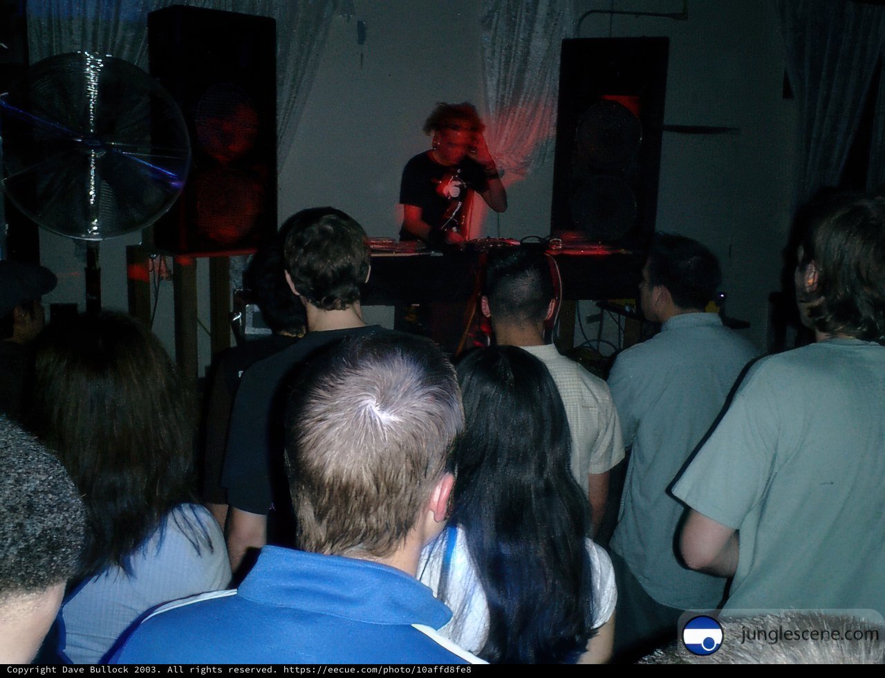 Nightclub Crowd Grooving to the Beat