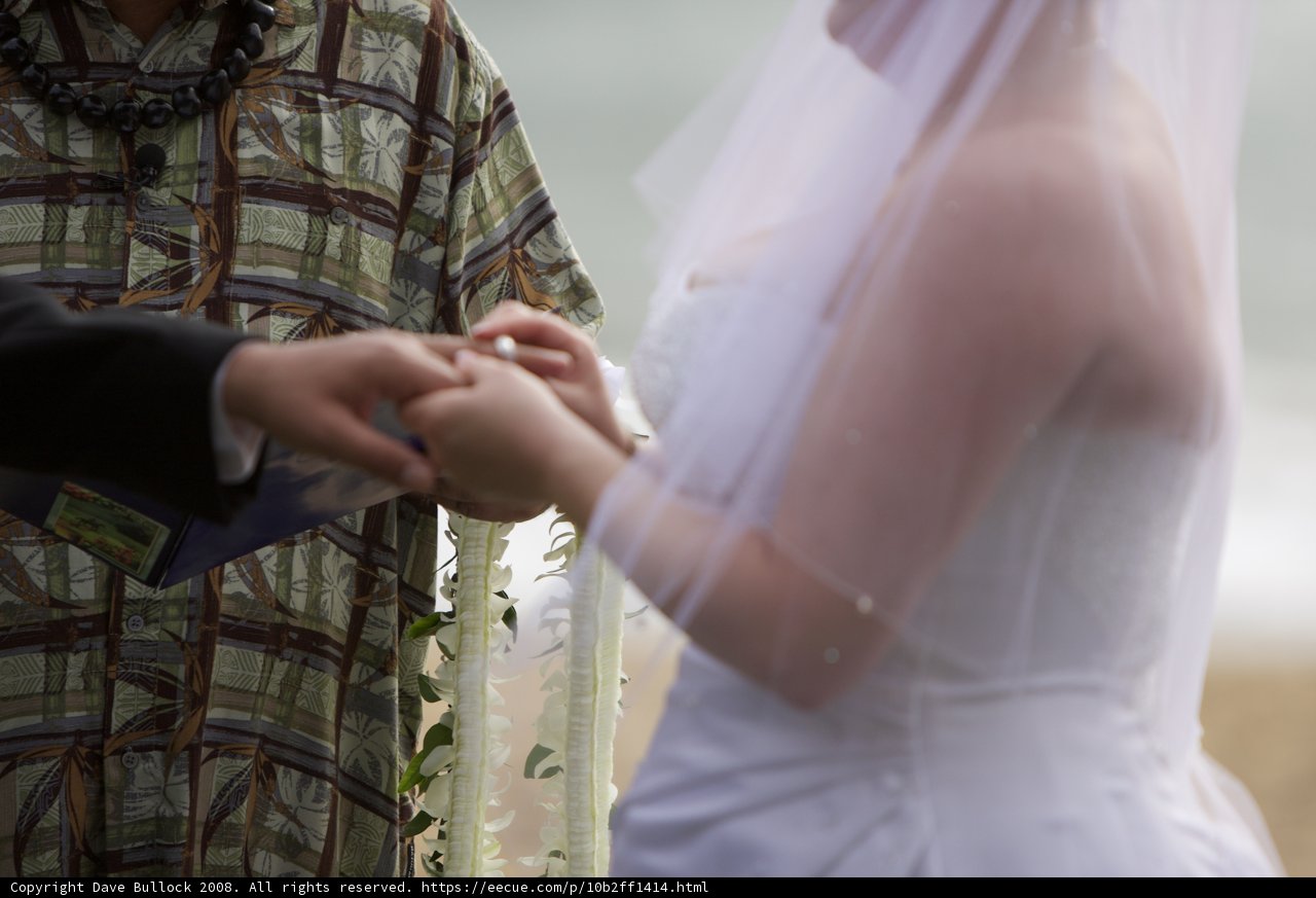 A Beautiful Hawaiian Wedding