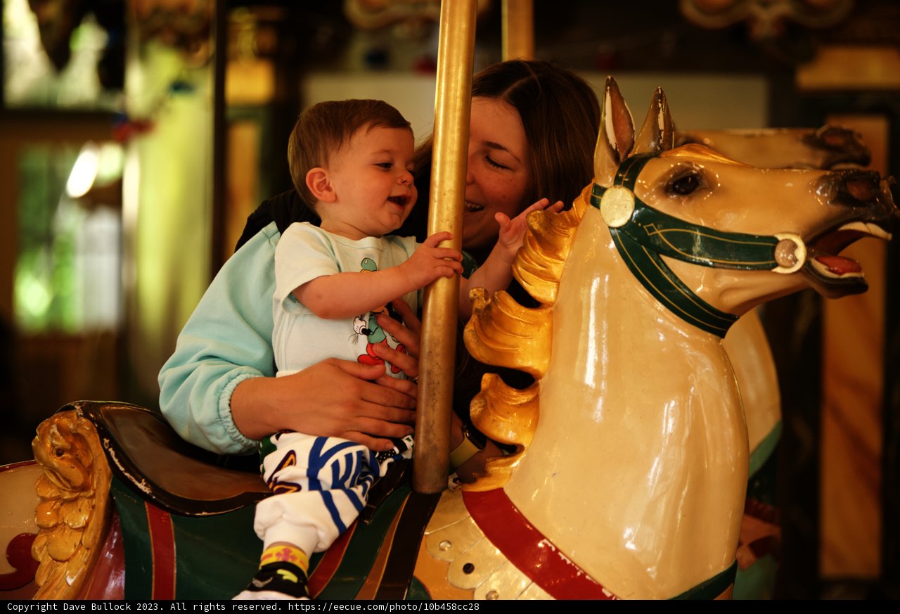 Carousel Joy: A Day at the SF Zoo