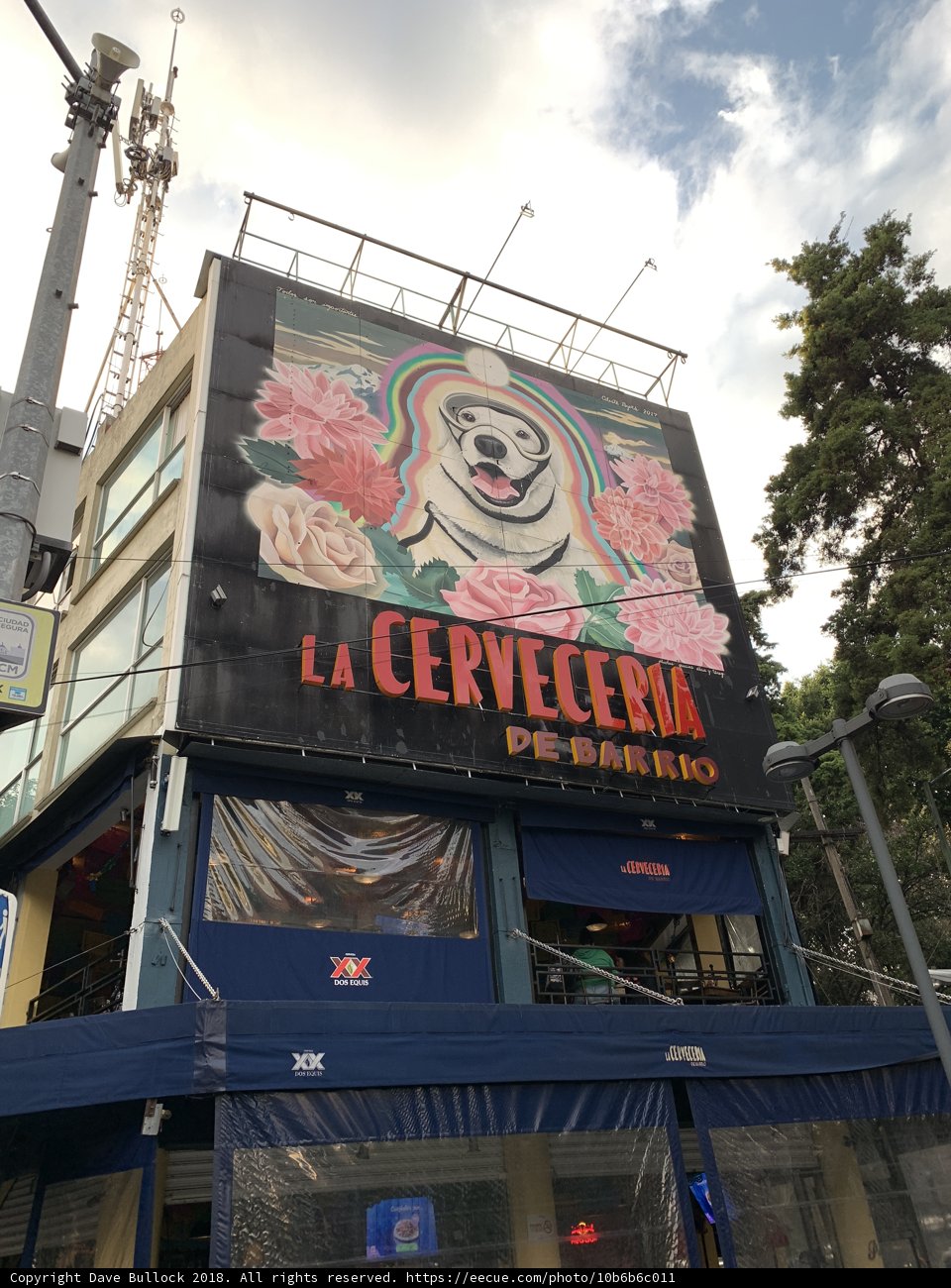 Canine Advertisement