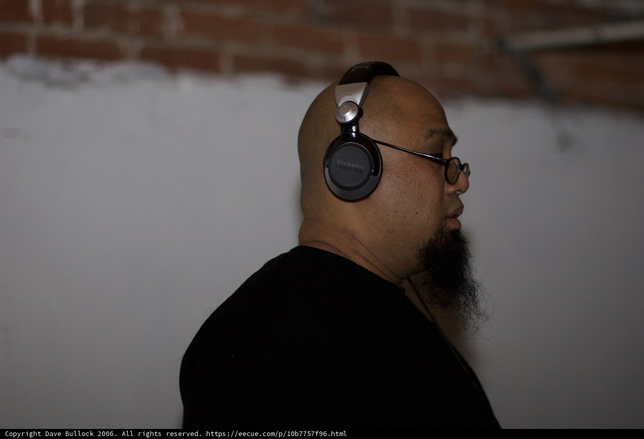 Bearded Audio Enthusiast