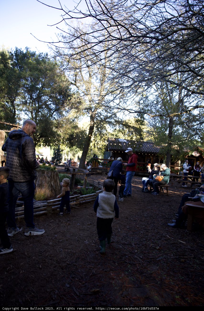 Woodland Adventure at Thistlewyck