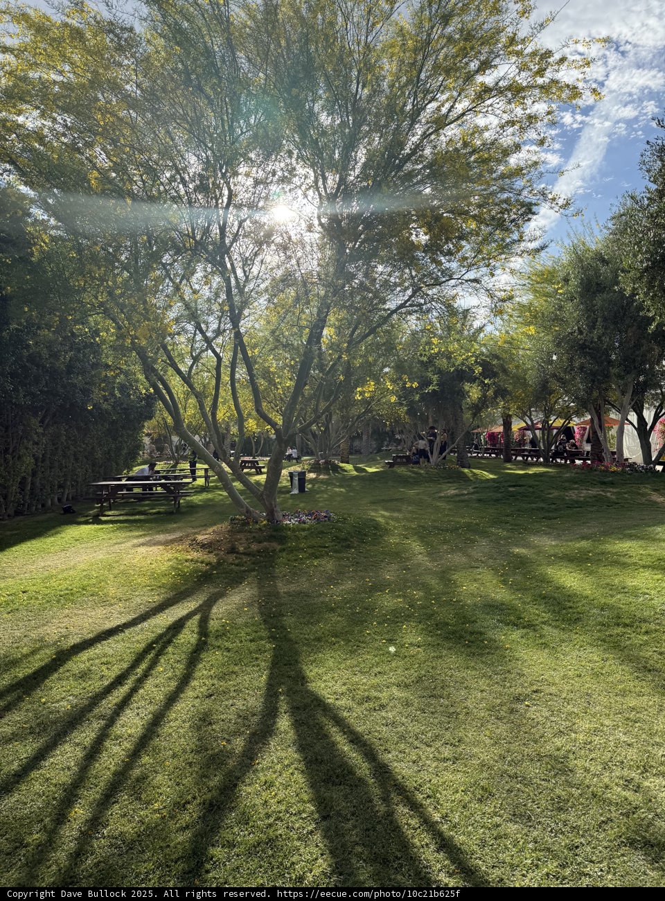 Serene Afternoon at Empire Polo Club