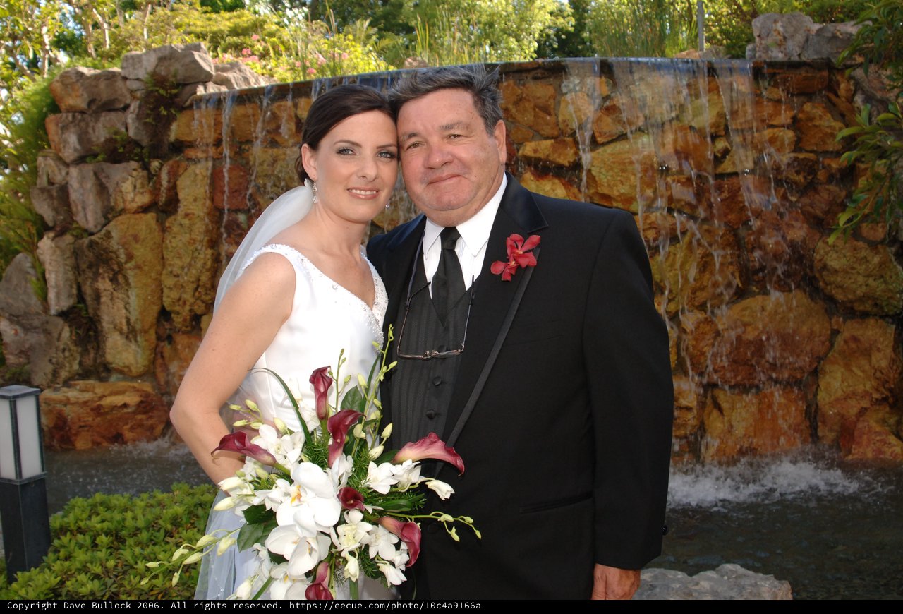 Bride and Groom Pose Before Waterfall Backdrop