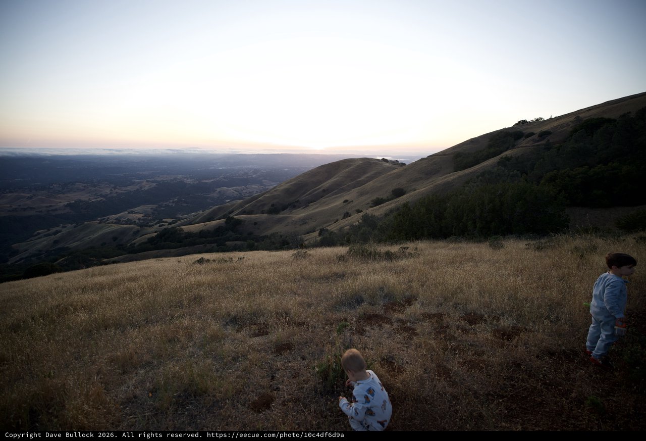 Toddlers at Dusk on Mount Diablo's Golden Slopes