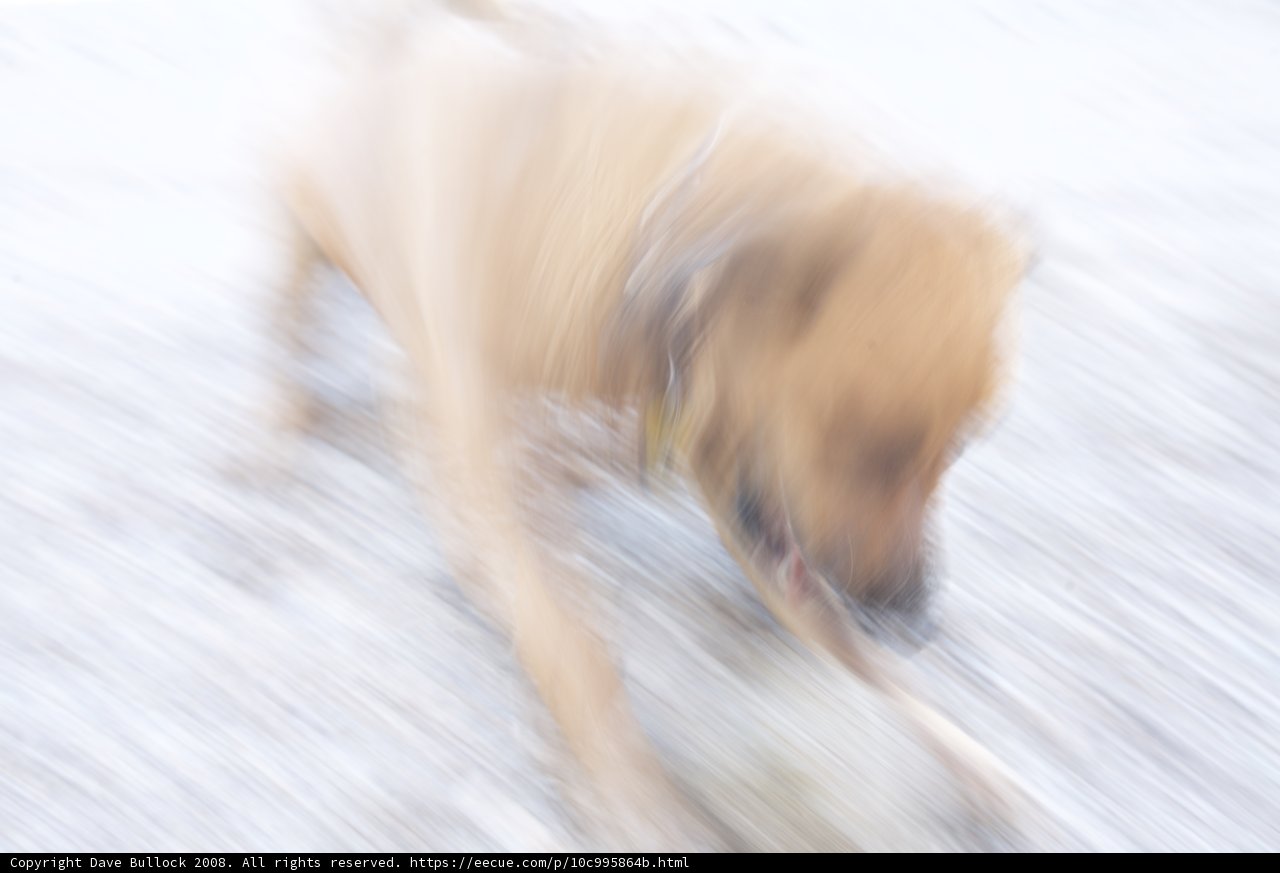 Blurry Run