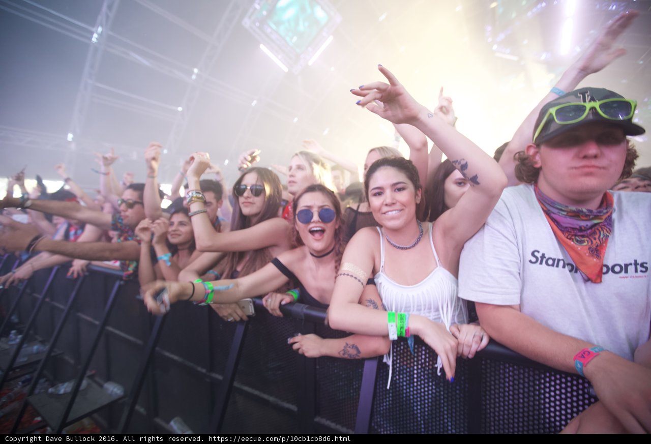 Jammin' with the Coachella Crowd