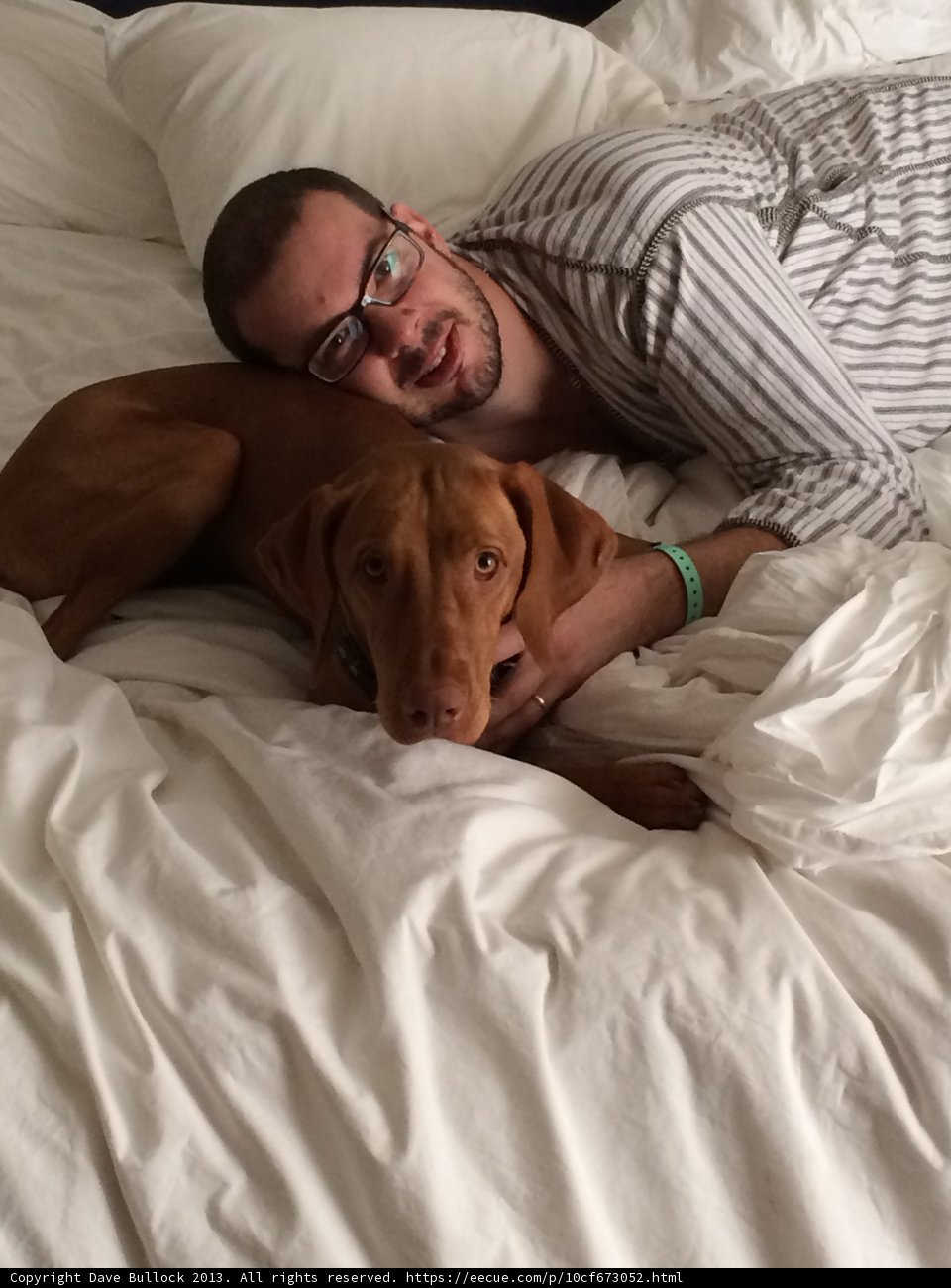 Man's Best Friend