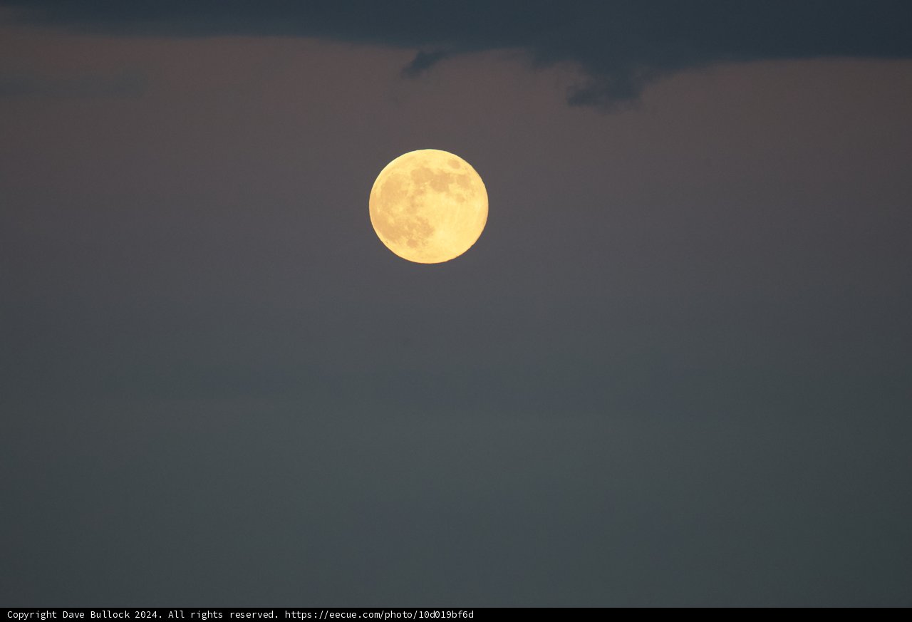 Lunar Luminescence: A November Night
