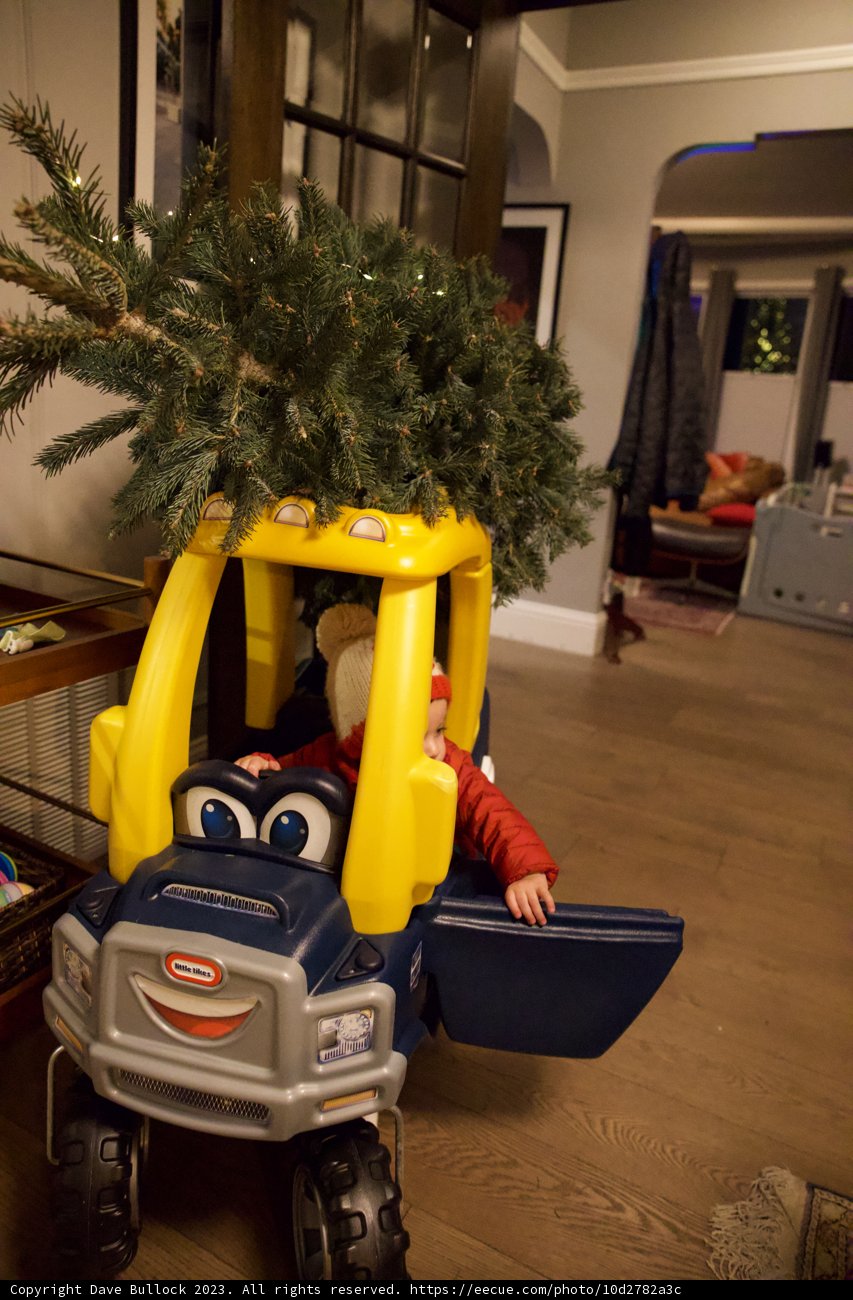 Joyful Journey to Christmas With Wesley