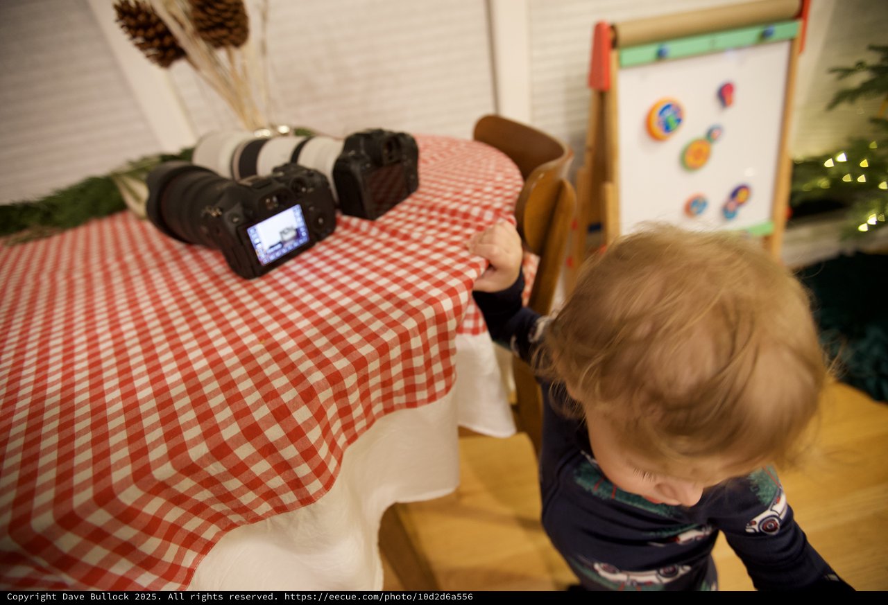 Curious Toddler Examining Professional Camera Equipment