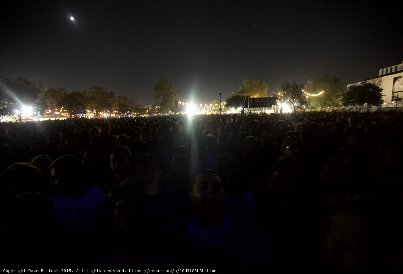 Sea of Festival Attendees