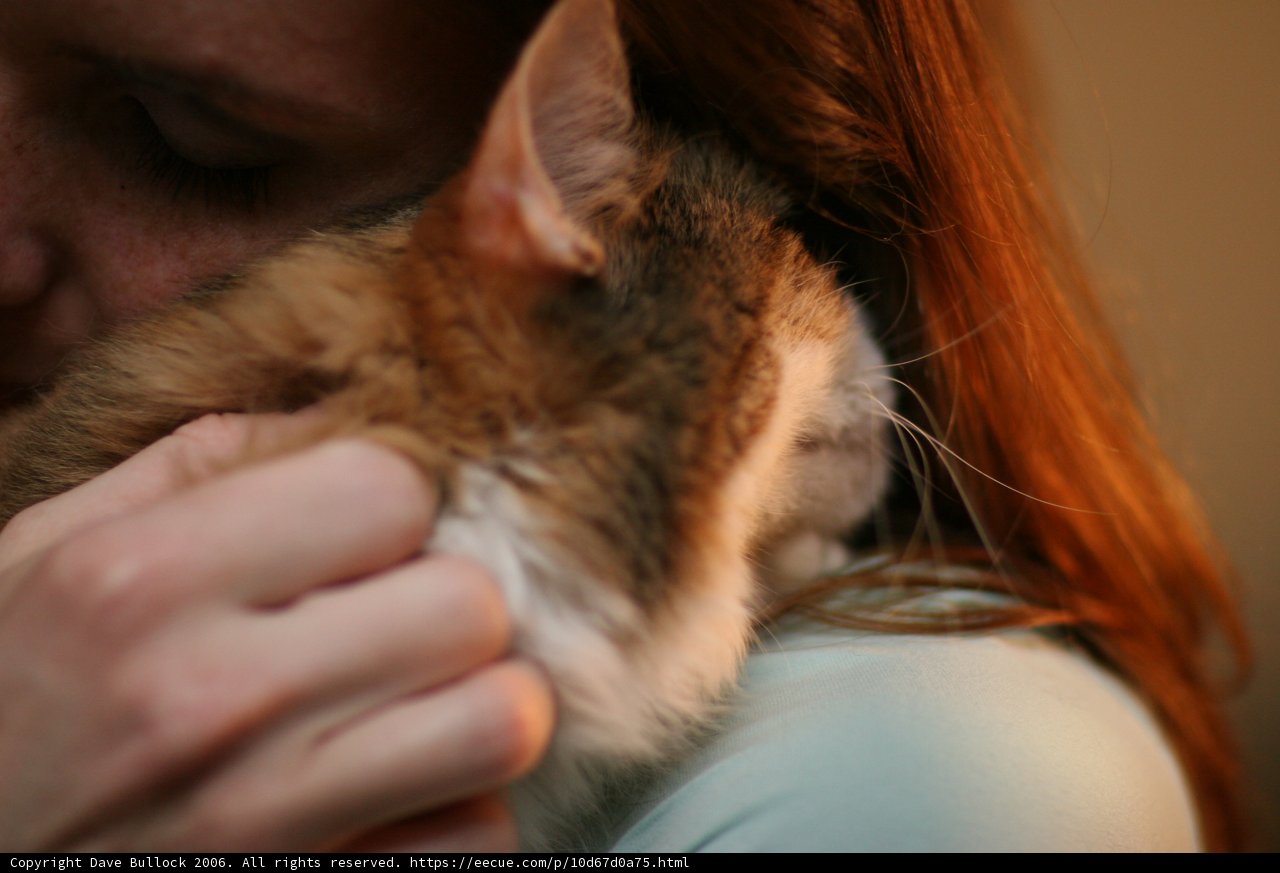 Woman and Abyssinian Cat