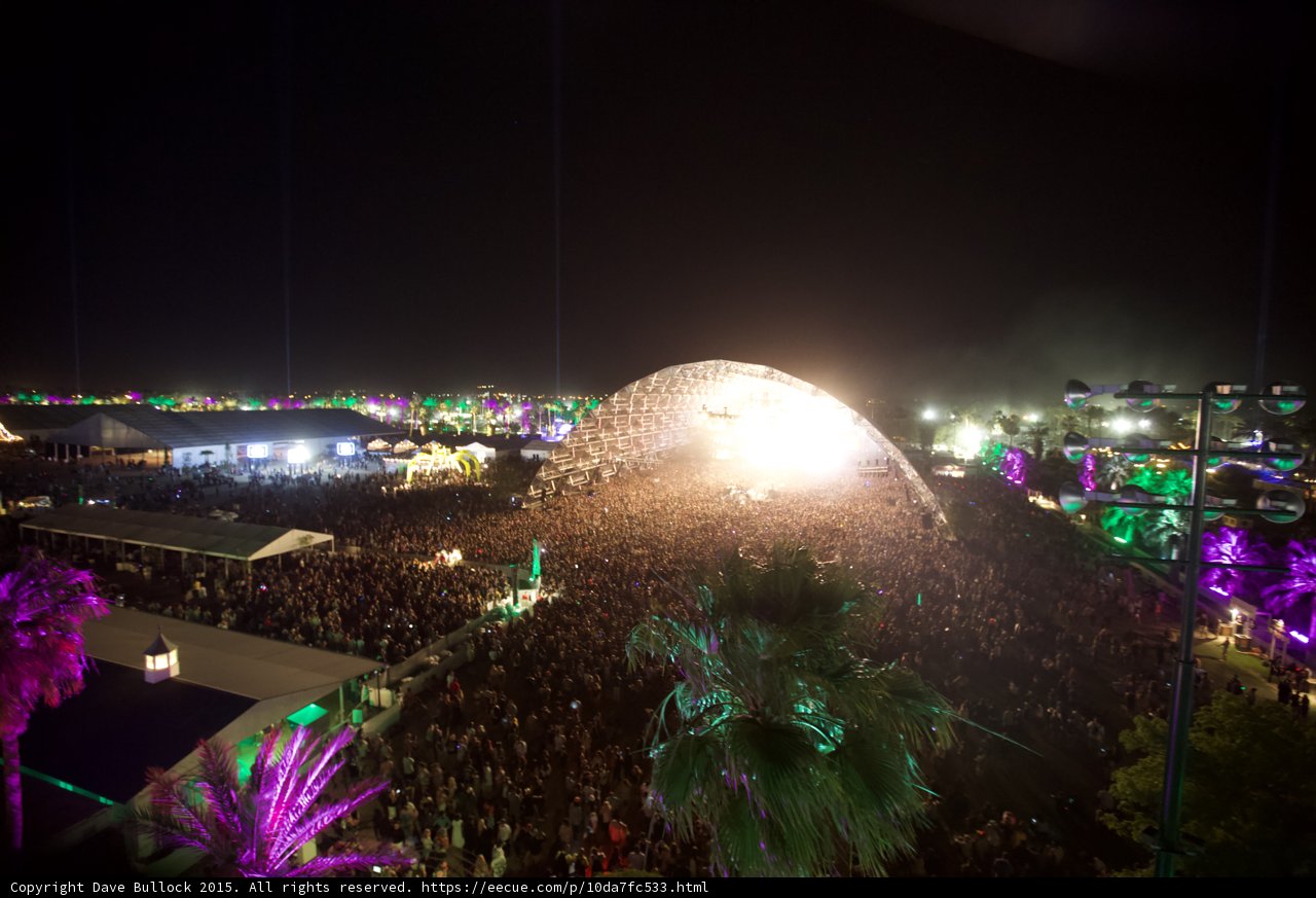 Night Sky and Palm Trees in Metropolis