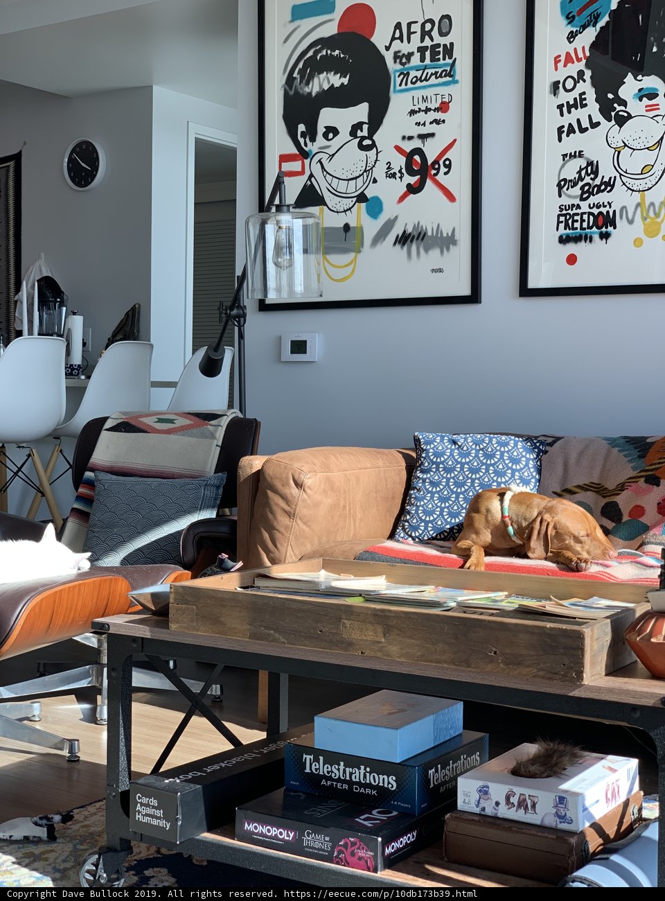 Cozy Living Room with Furry Friend