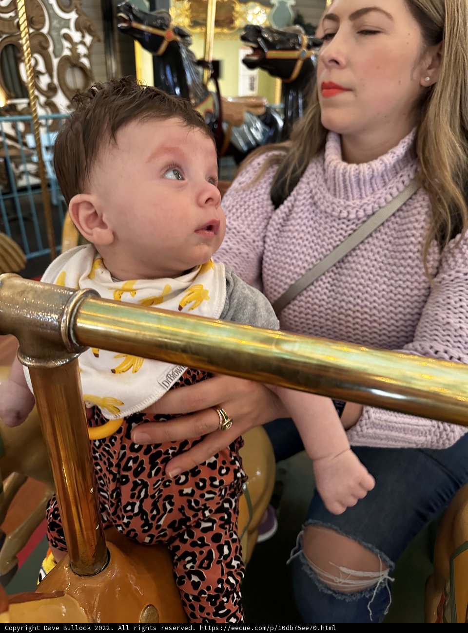 Carousel Joy with Mom and Baby