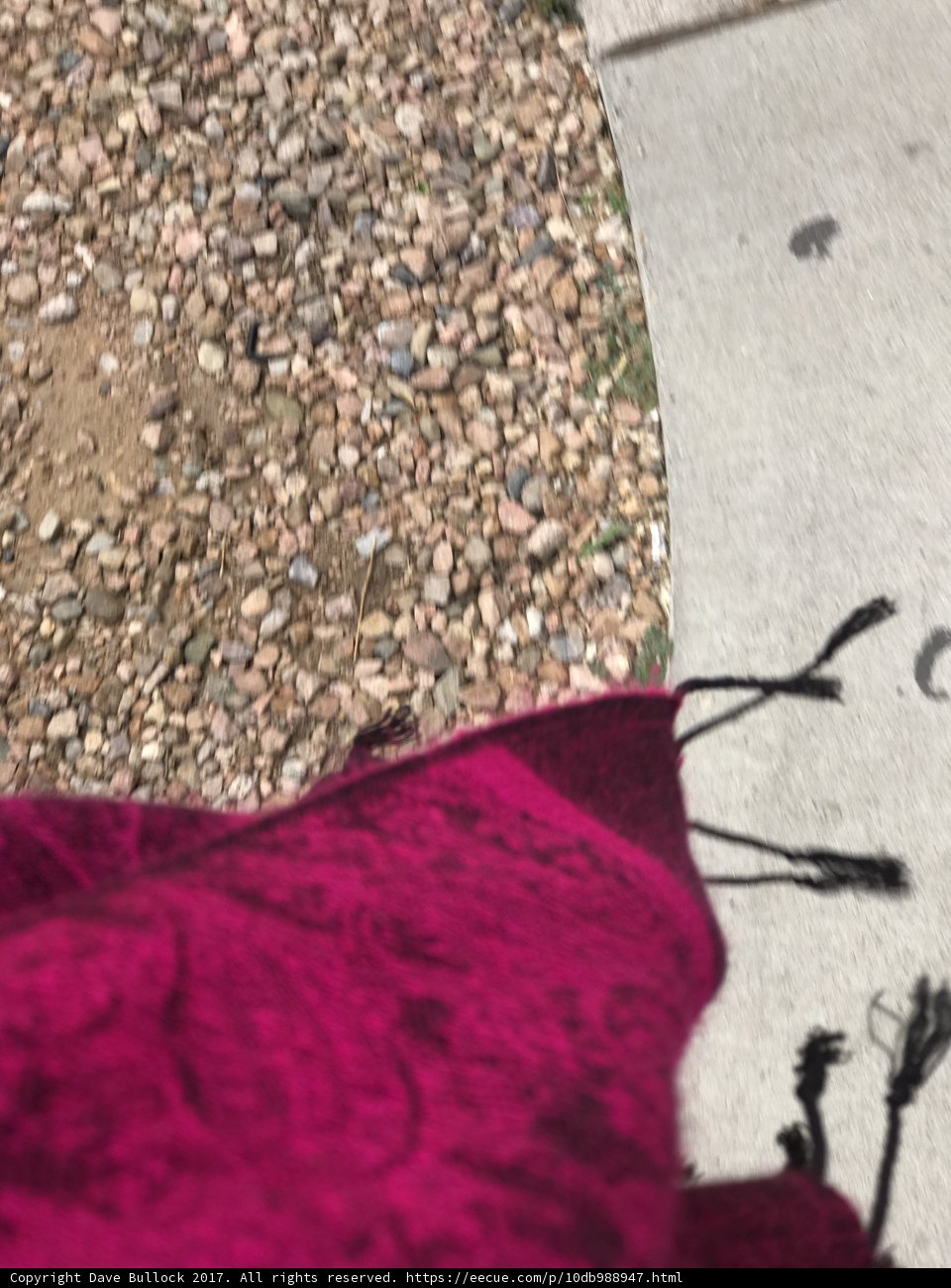 Feet on the Gravel Path