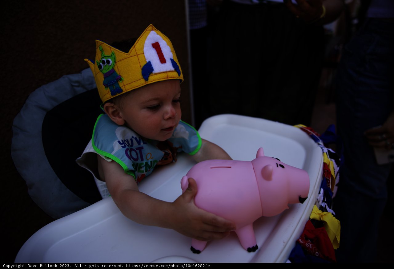 Wesley's First Royal Birthday Bash