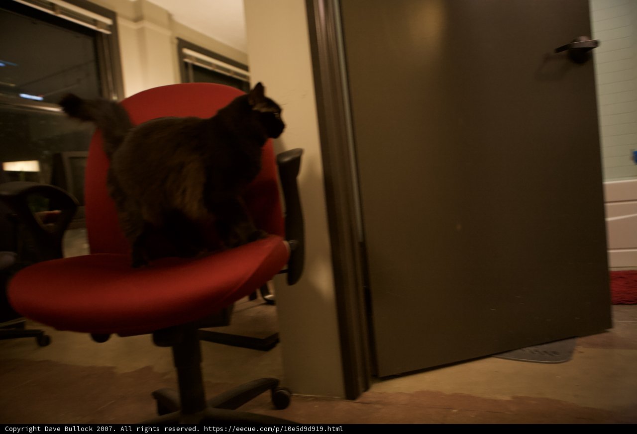 Midnight Resting Spot