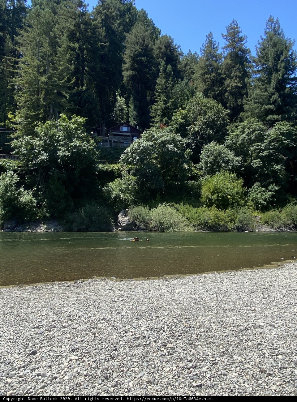 Tranquil River Landscape