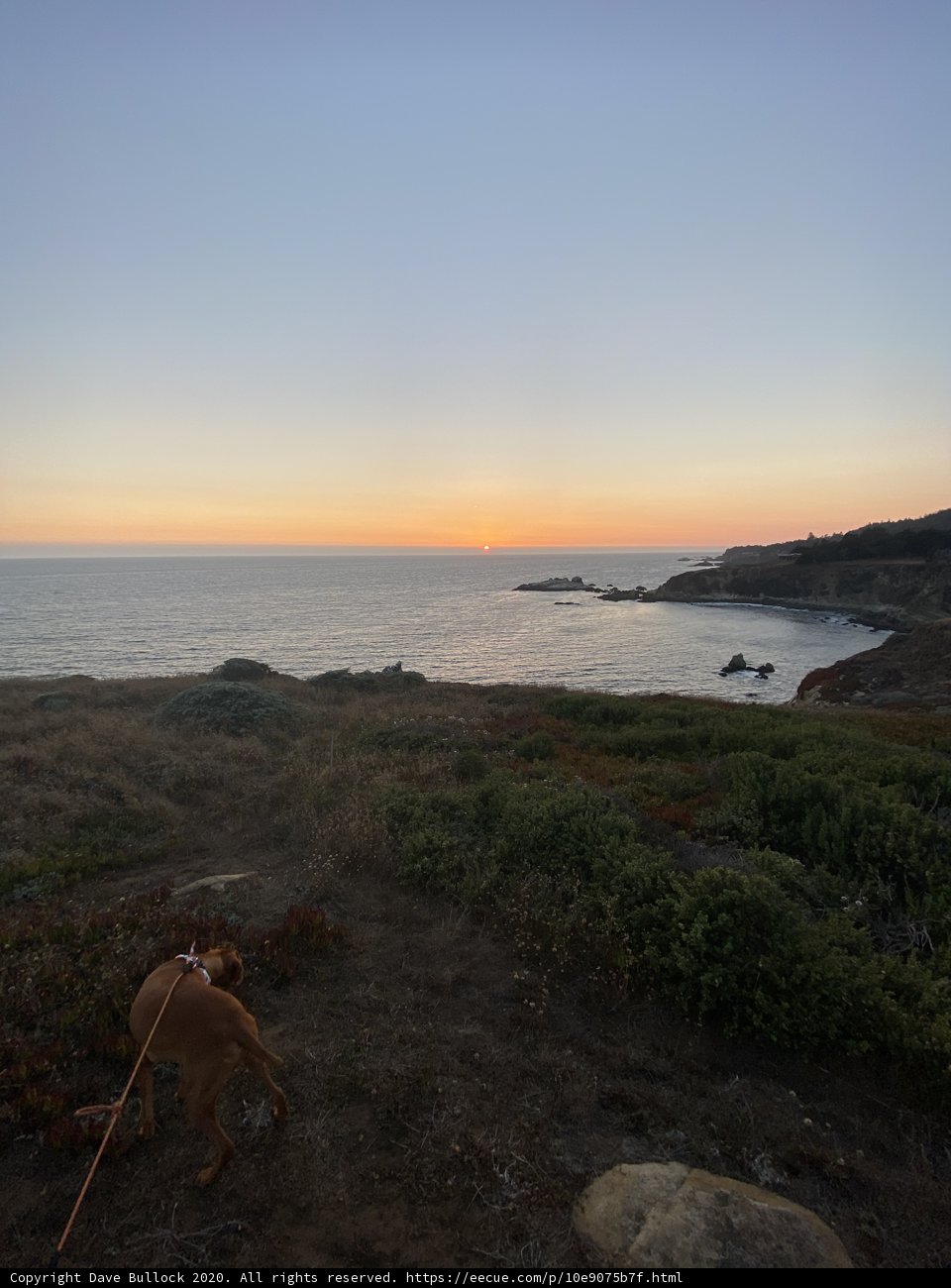 Overlooking the Pacific