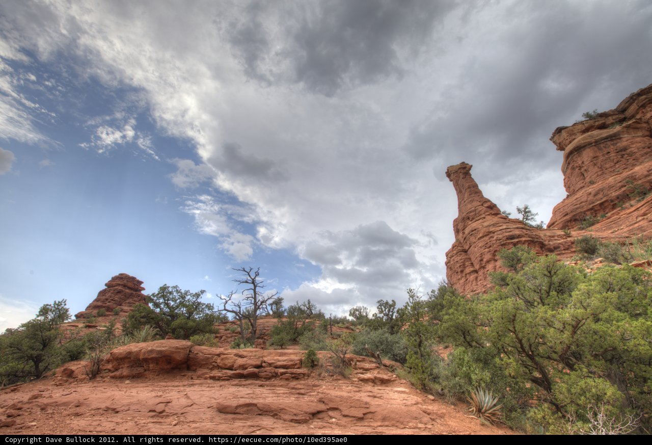 Red Rocks and Trees under a Moody Sky