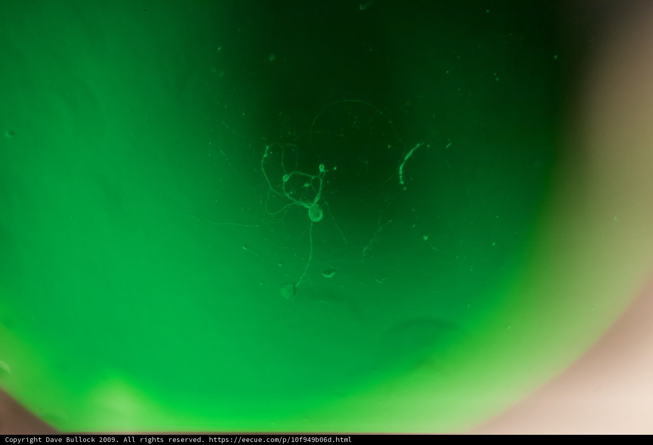 Green Sphere Through Glass