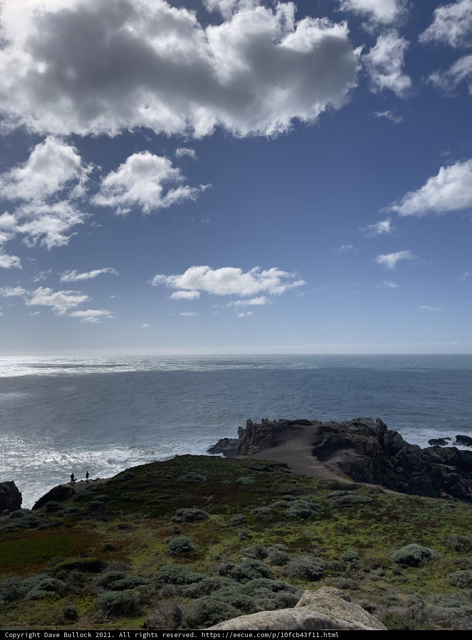 Scenic Ocean View from Hilltop