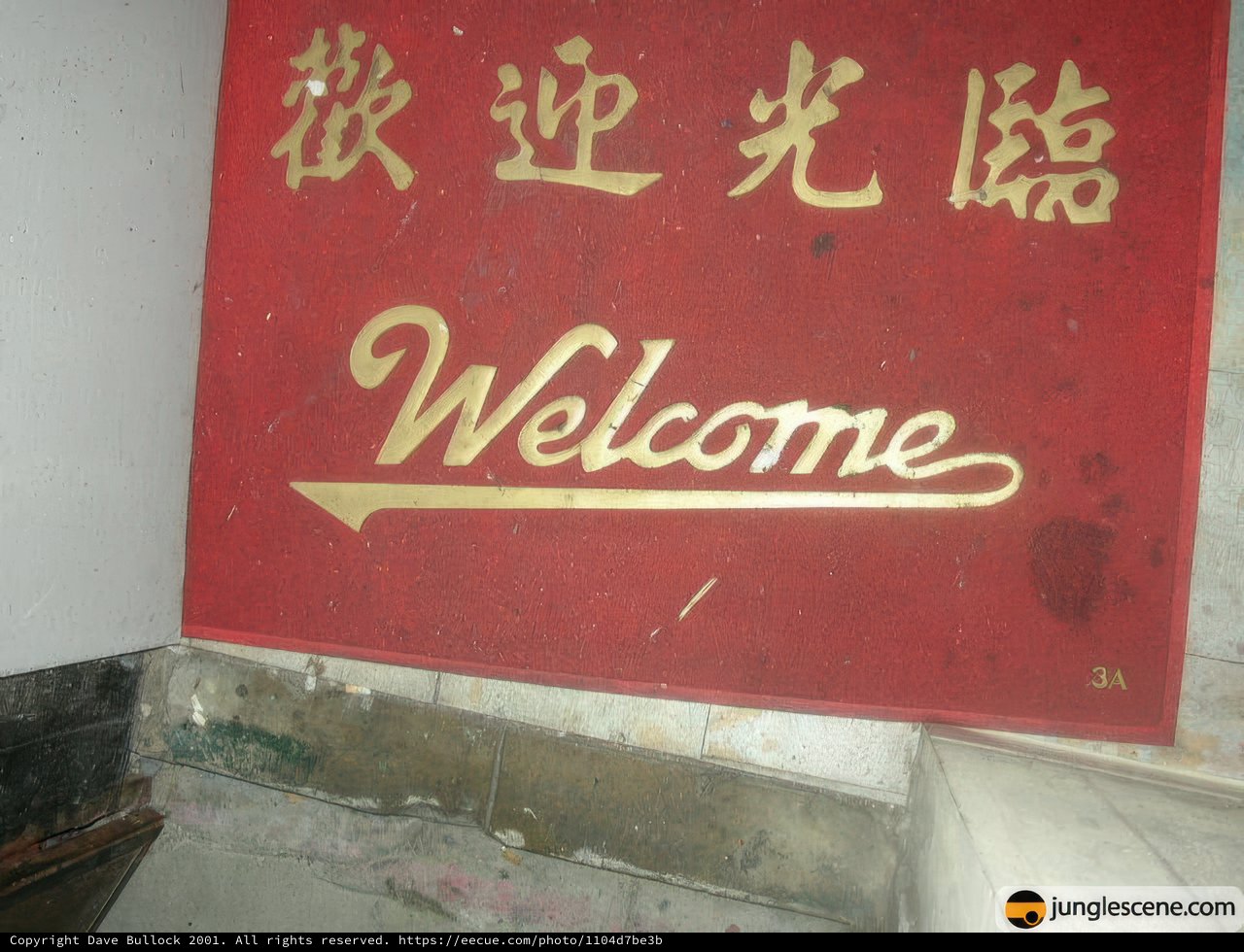Welcome in Chinese