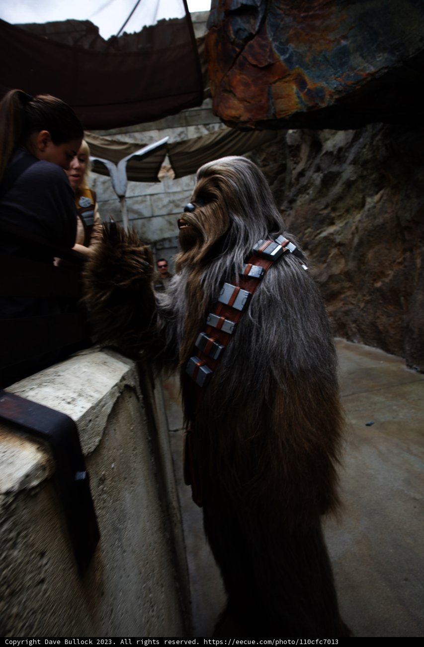 A Pawsome Adventure at Disneyland