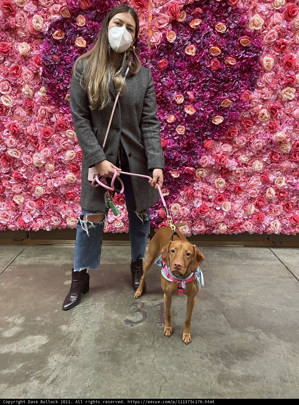 Flower Power Walk with My Pup