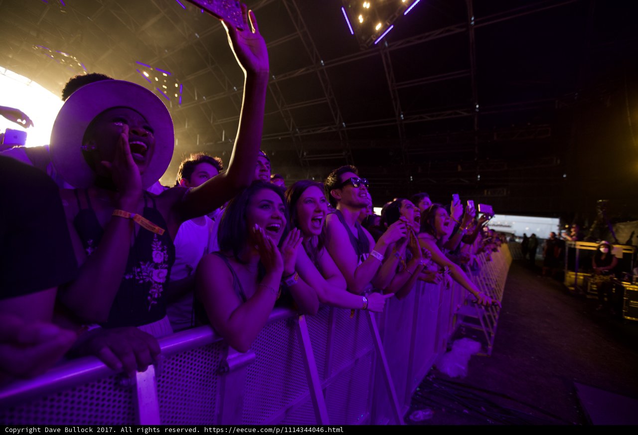 Electric Crowd at Coachella