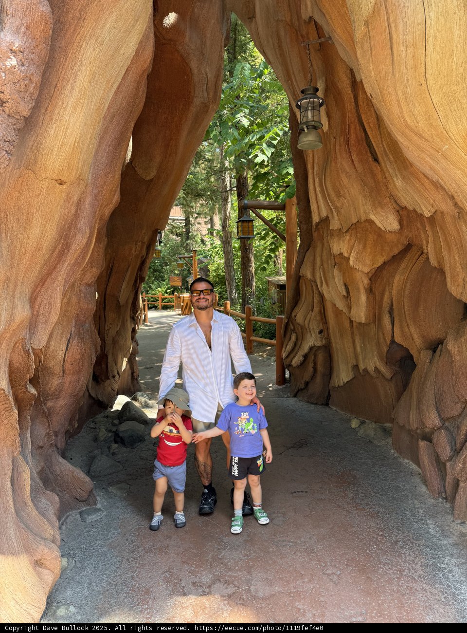 Sequoia Adventure at Disney California Adventure Park
