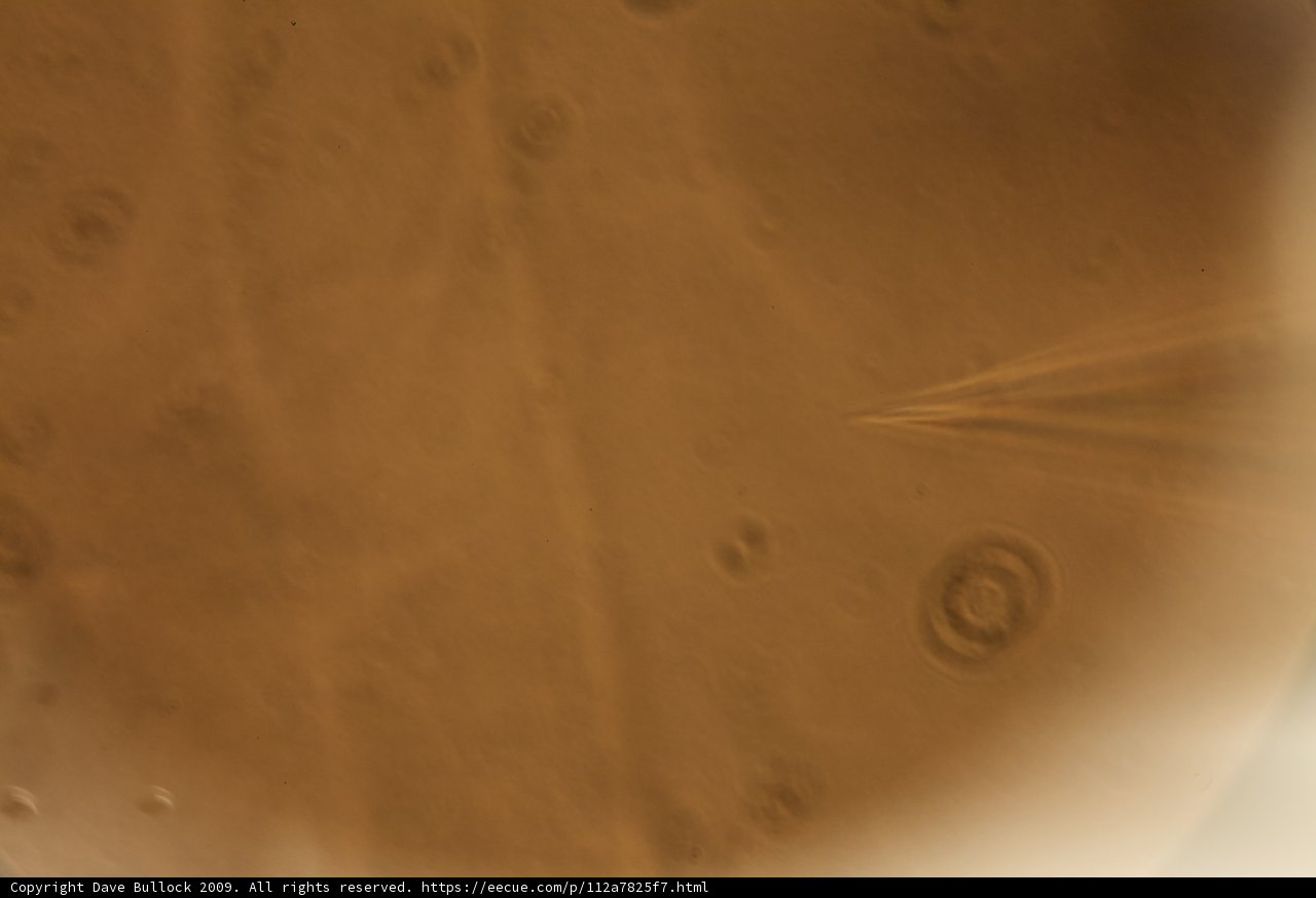 Mysterious Brown Object in the Sky