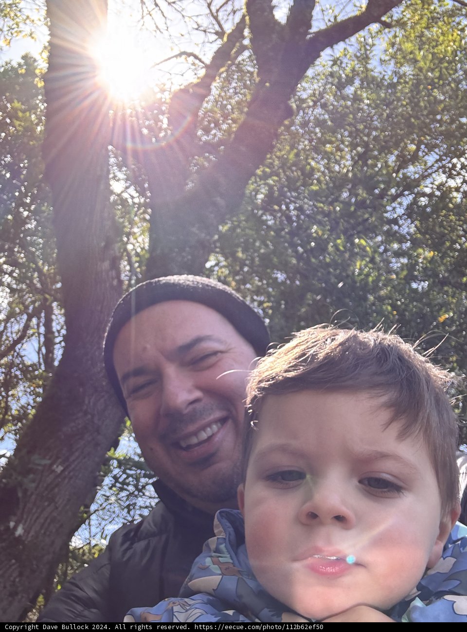 Sunny Day Adventures
