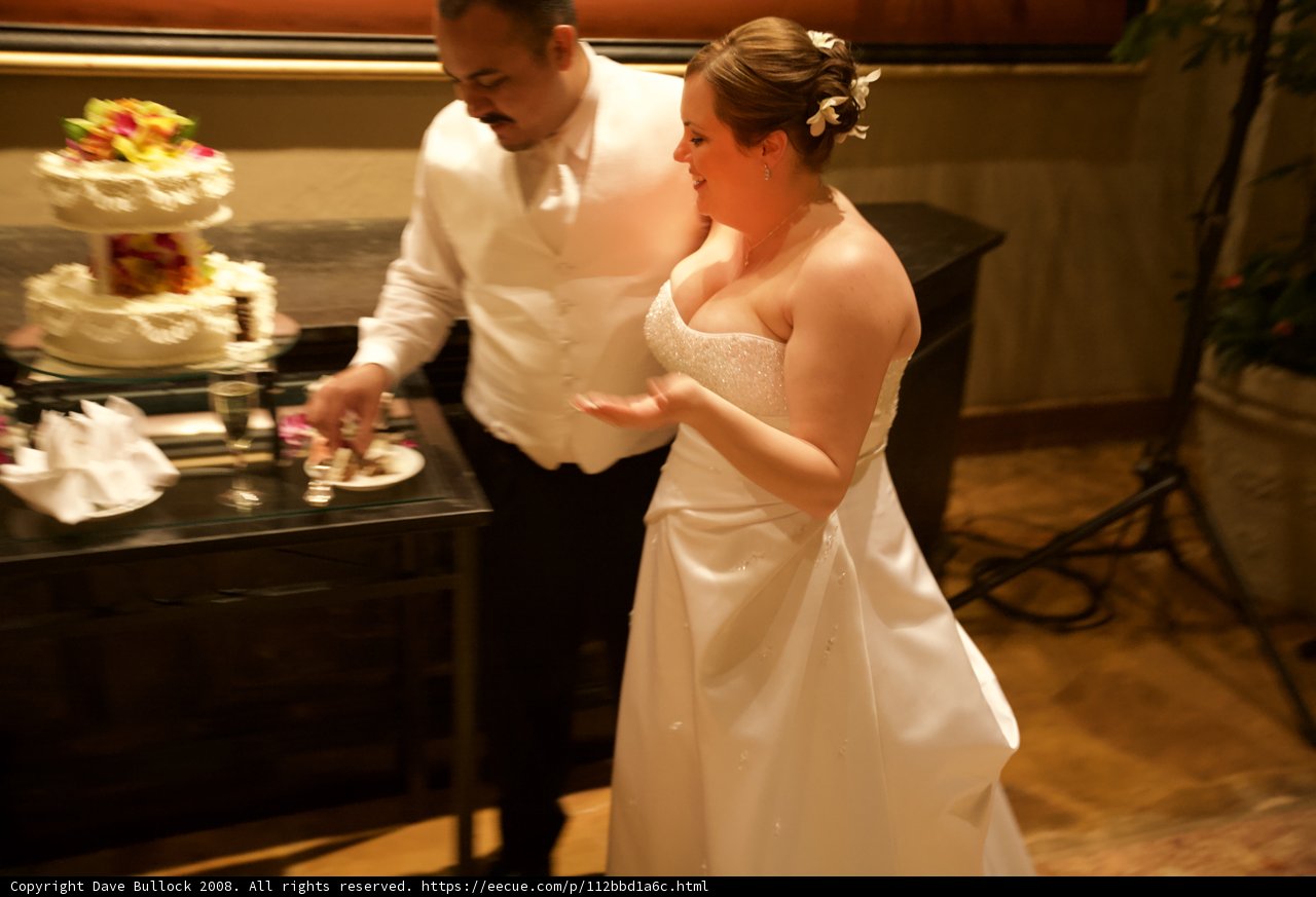 The Bride and Groom with Their Wedding Cake