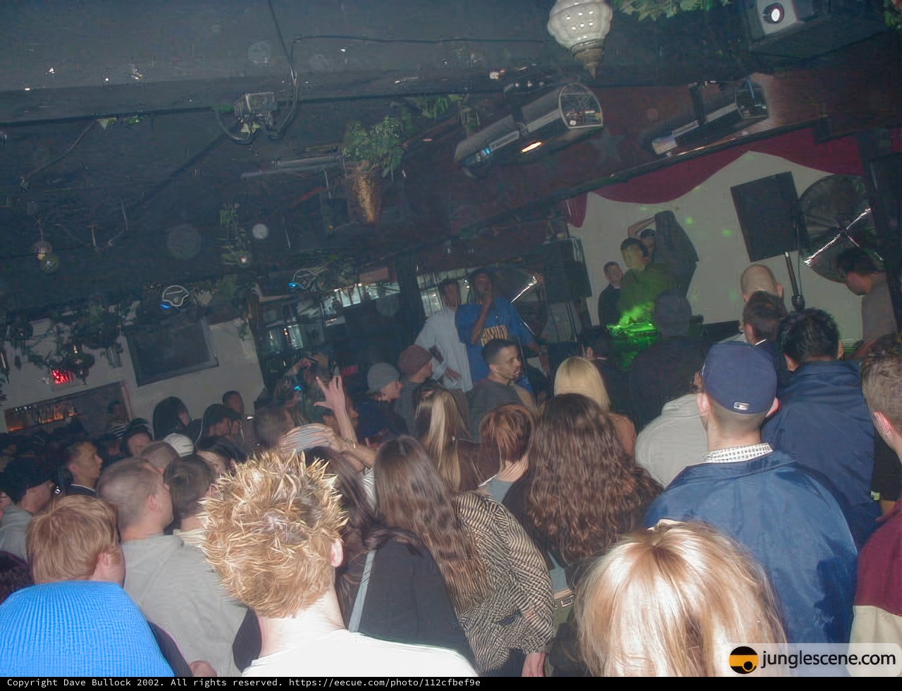 Nightclub Performance