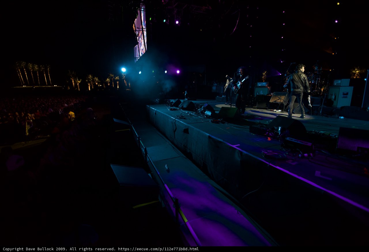 Purple Haze Performance
