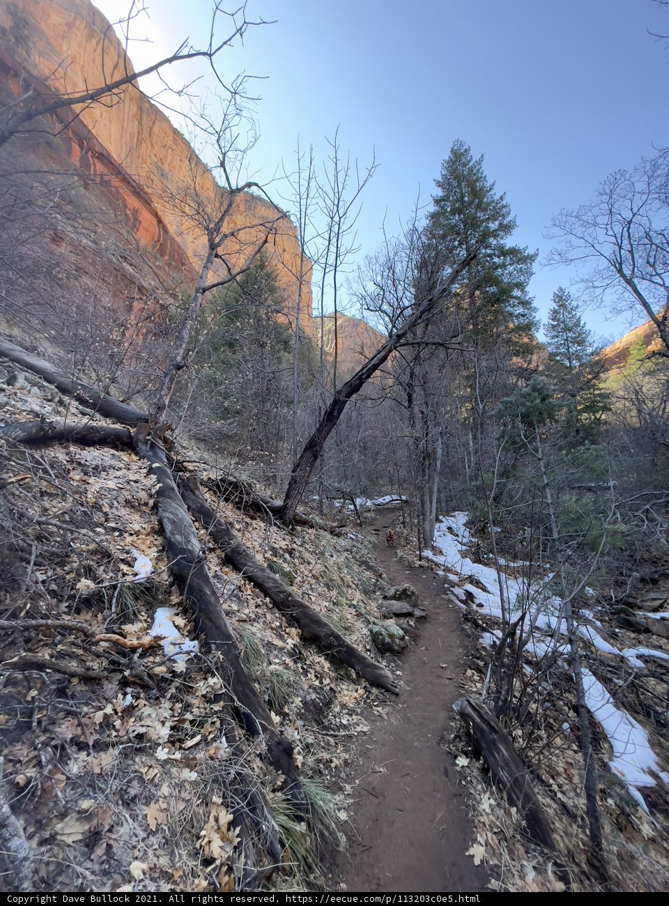 Wandering Through the Wilderness