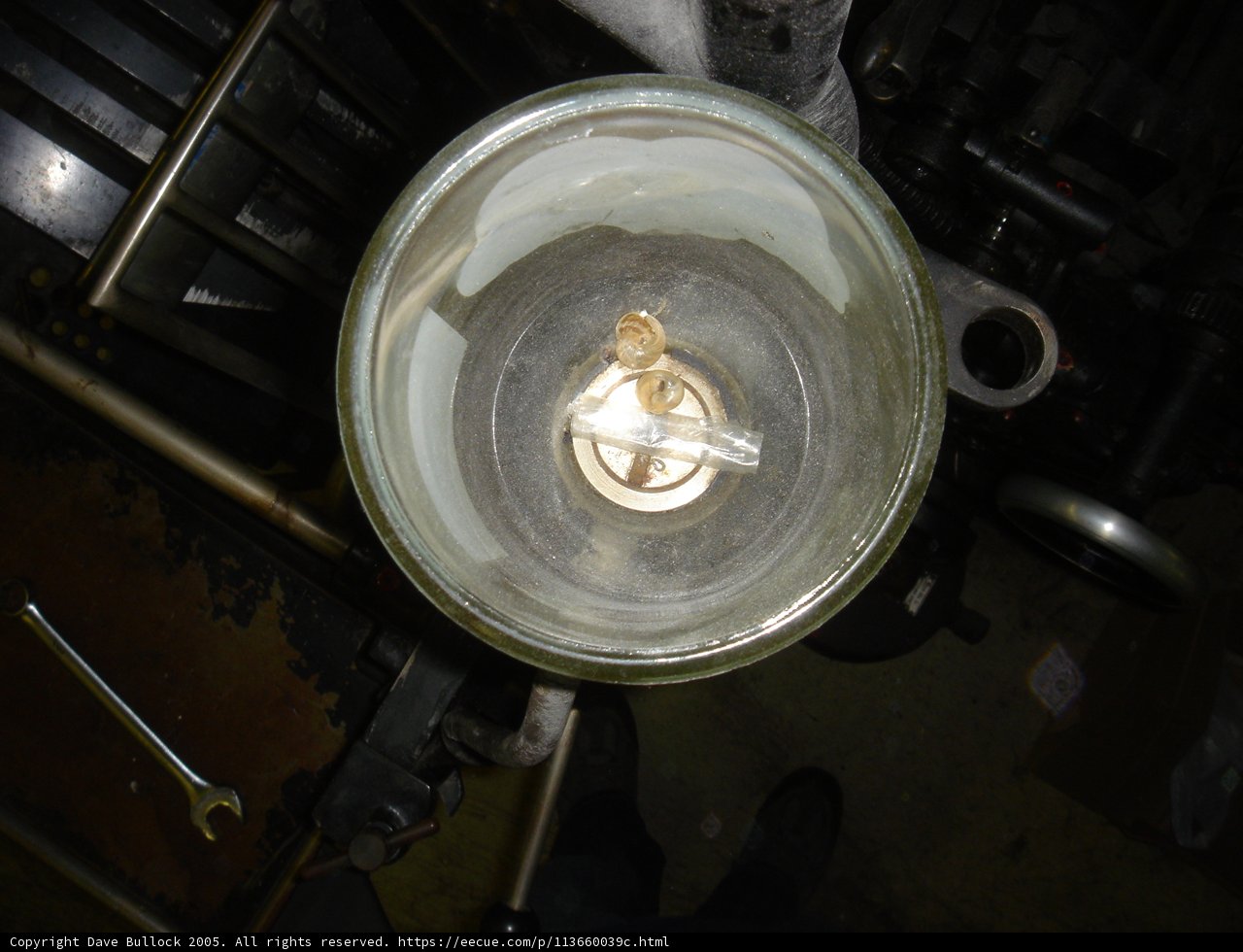 Golden Wheel