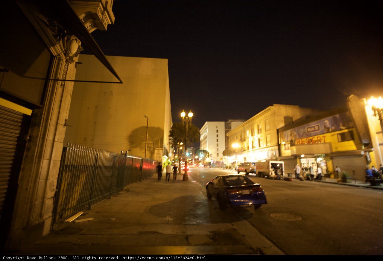 Nighttime in the Urban Jungle