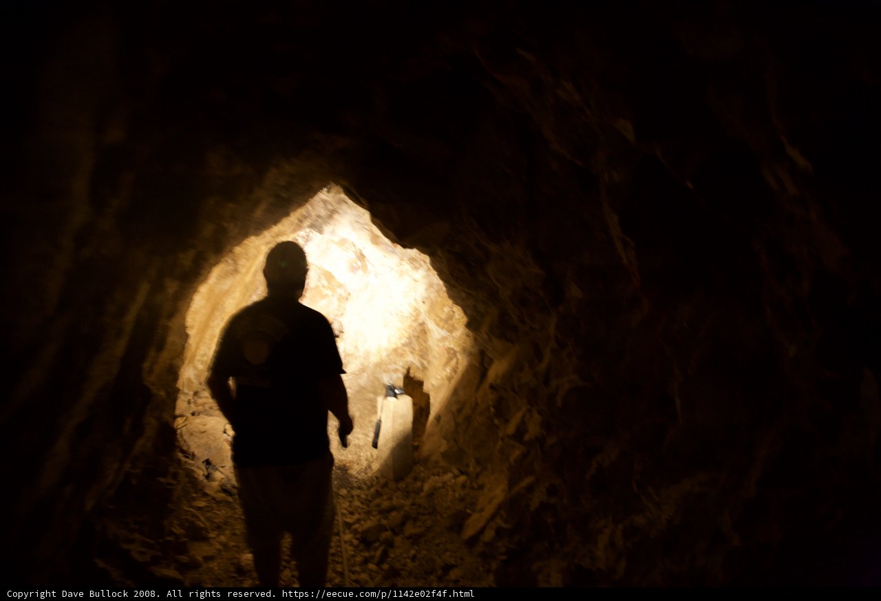 Journey through the Dark