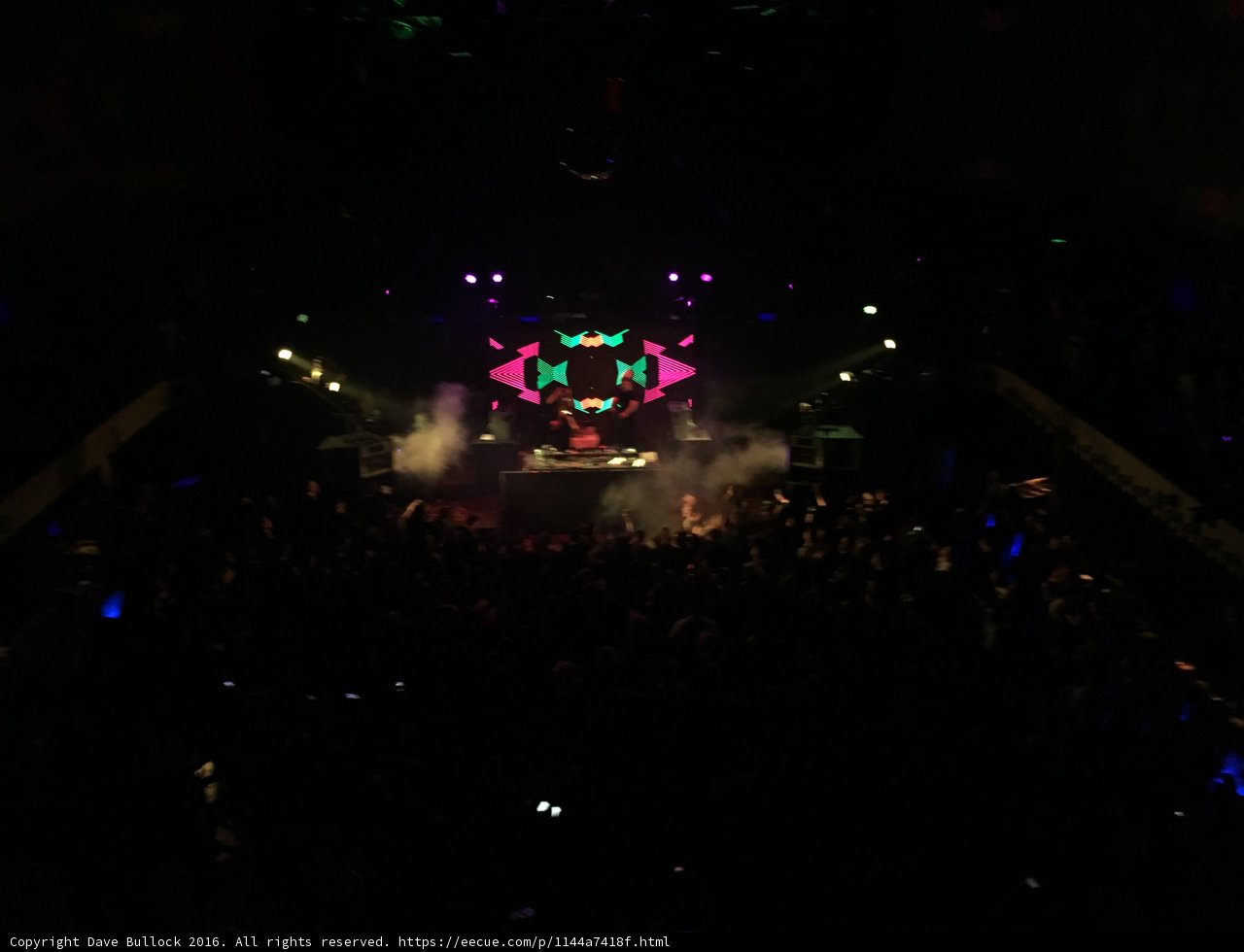 Urban Nights: A Concert with DJ and Crowd